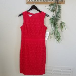 NWT! Maggy London Embroidered Lace Overlay Dress